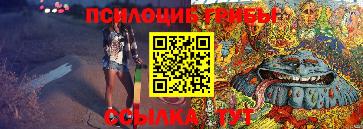 Псилоцибиновые грибы Cubensis Киселёвск