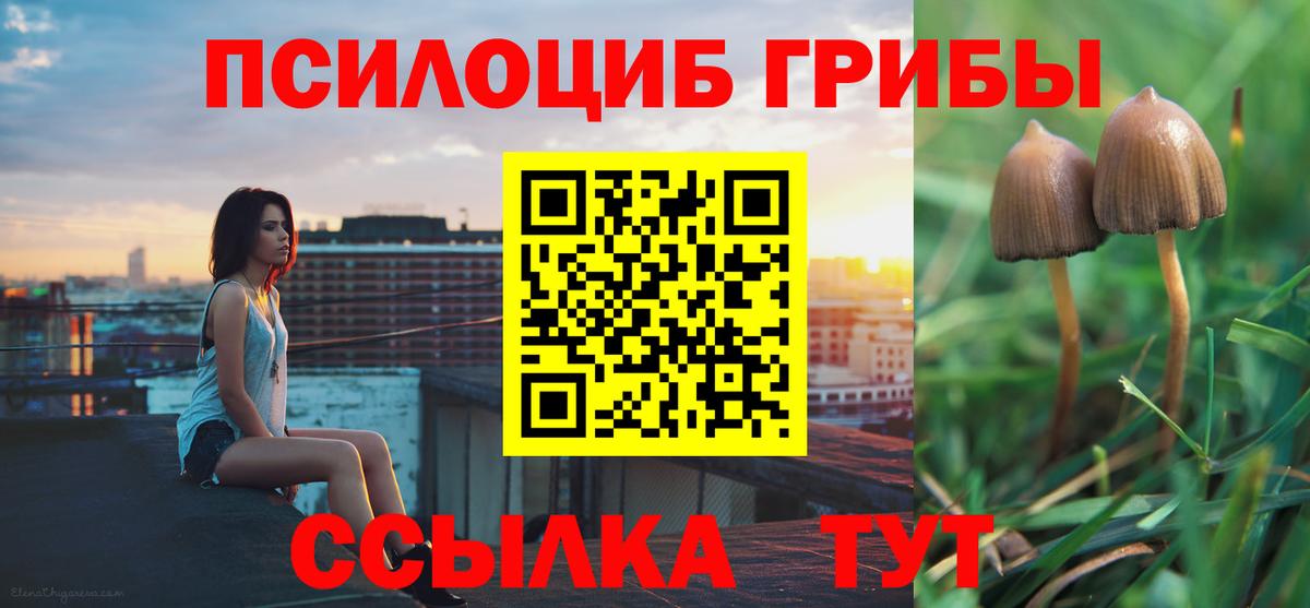 Псилоцибиновые грибы прущие грибы  Галлюциногенные грибы Psilocybine cubensis  Киселёвск  Вход с VPN 